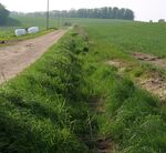 Hier ist der Feldweg noch in Ordnung, doch jetzt muss der Graben geöffnet werden, sonst droht eine Schlaglochpiste!!